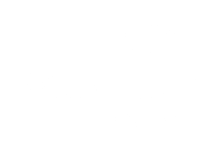Logo Madivin